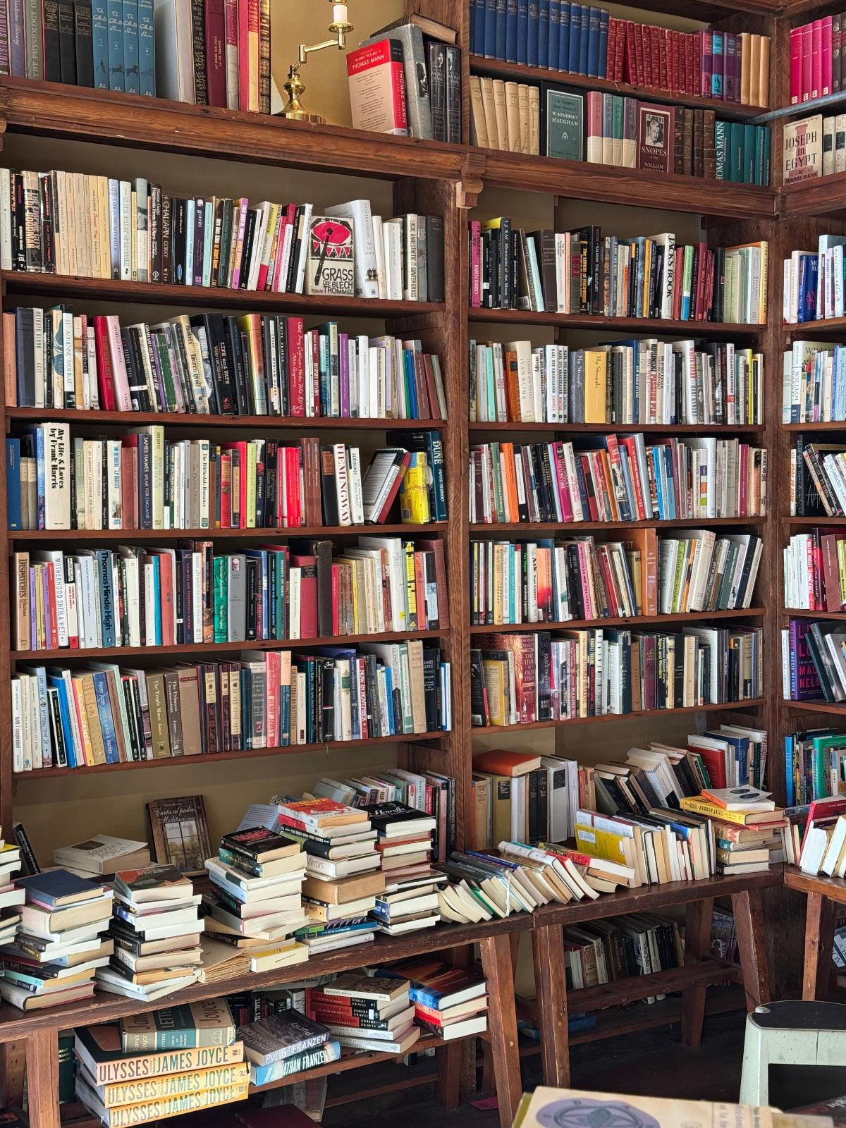 Bookshelf filled with books in a bookstore