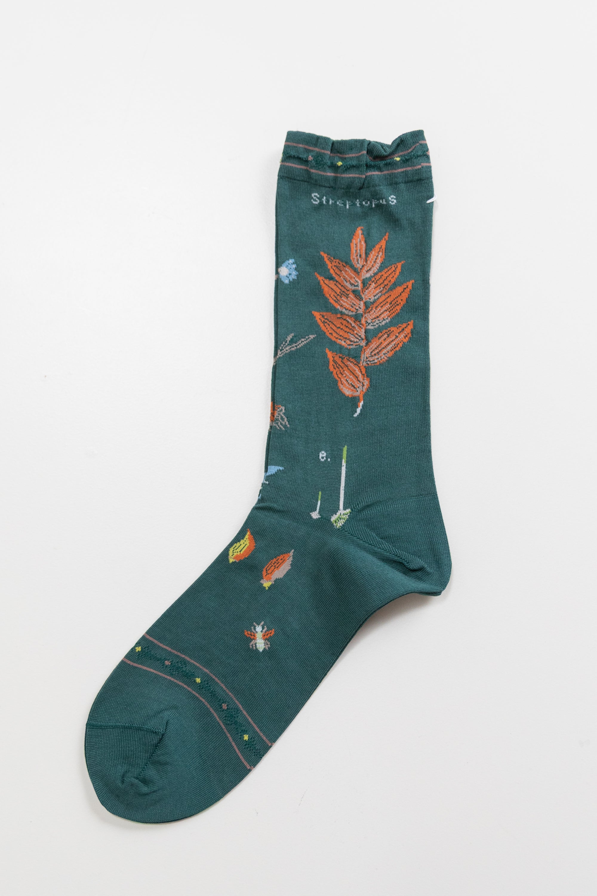 BOTANICAL XVII SOCKS IN GREEN
