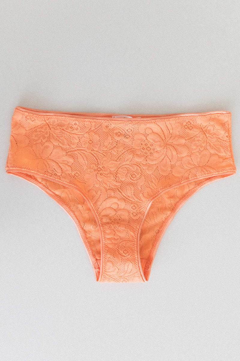 IMOGEN HIPSTER PANTY IN LUSH STRETCH LACE