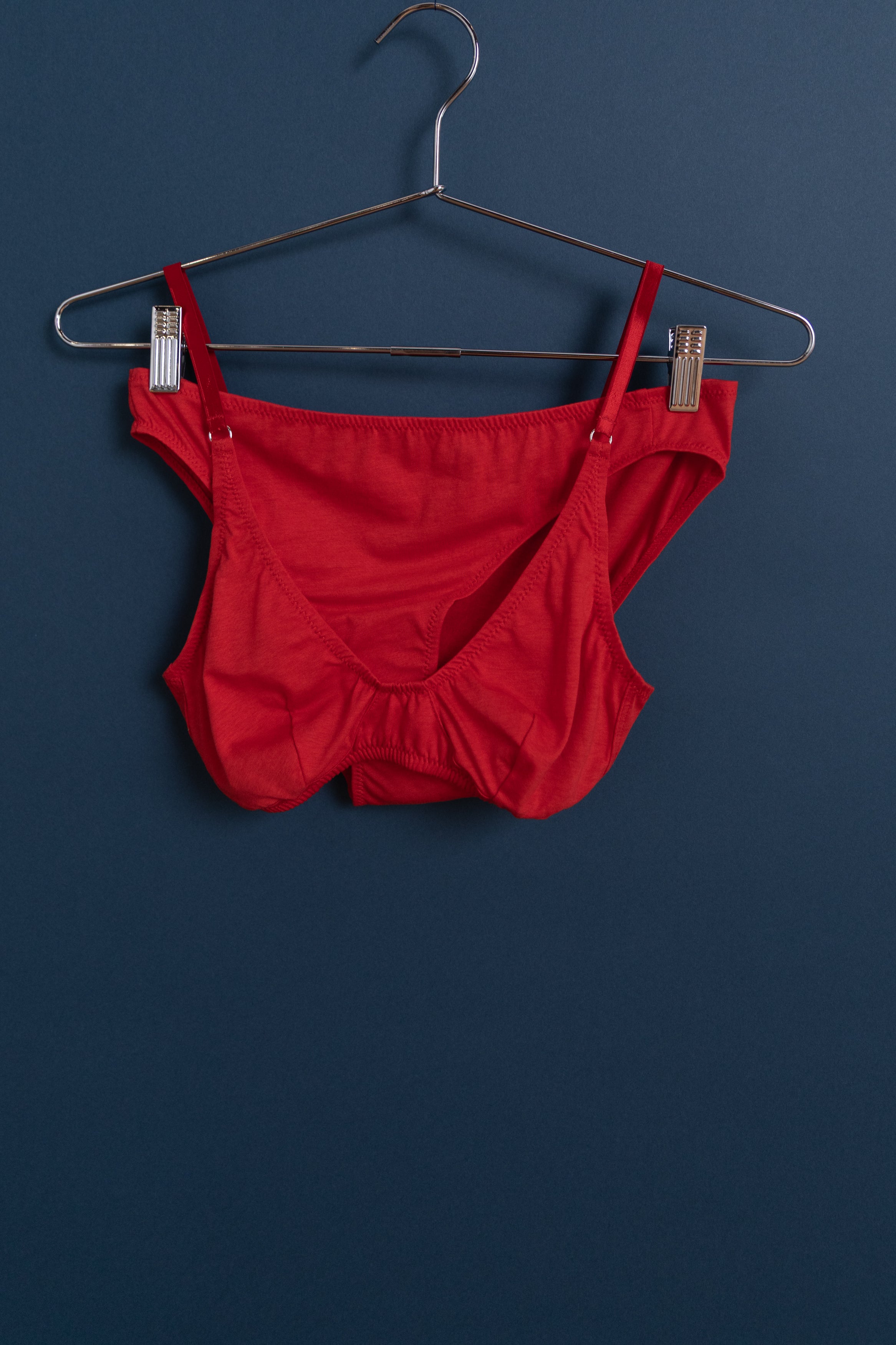 BRIAR BRALETTE IN SCARLET