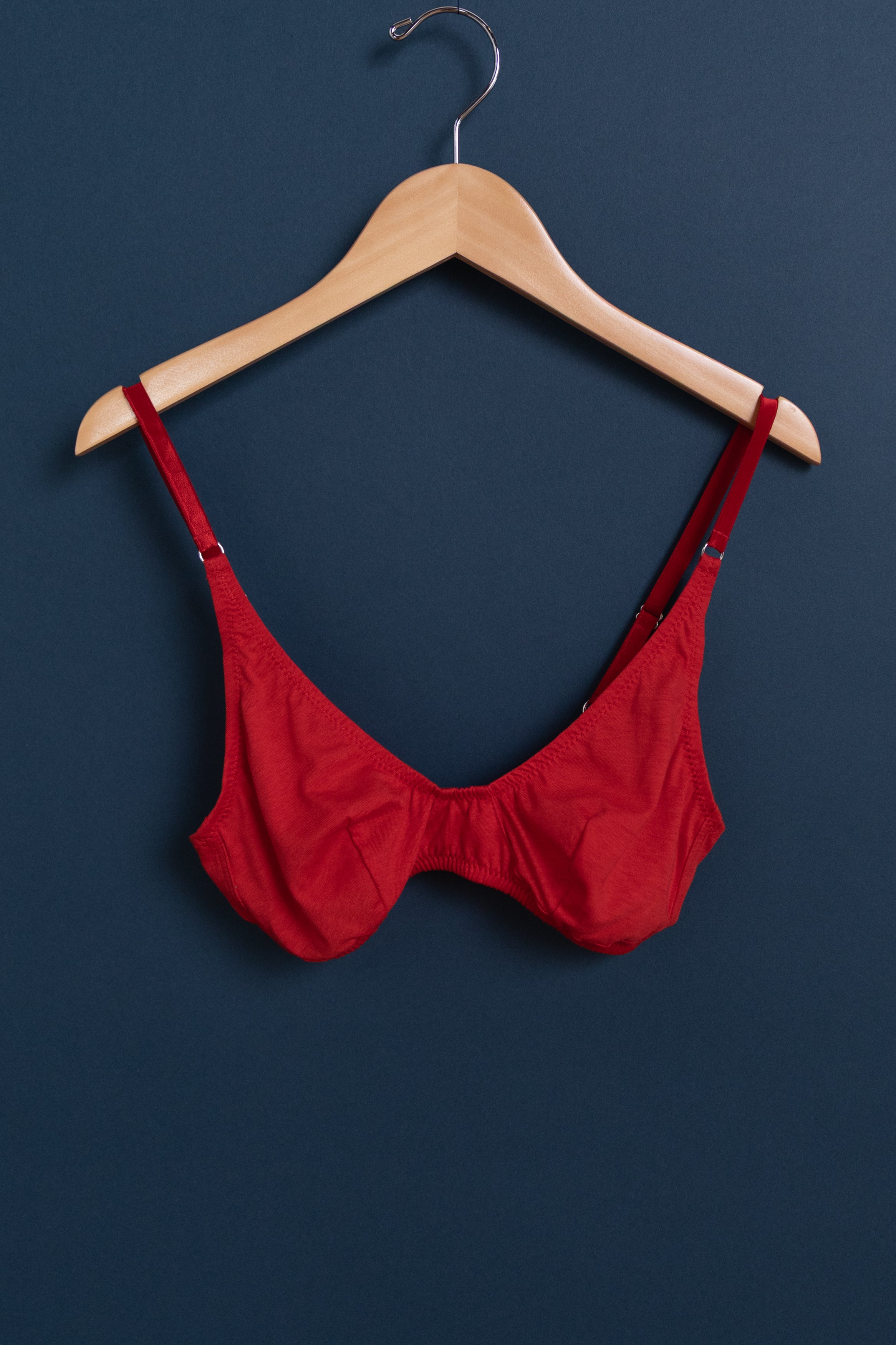 BRIAR BRALETTE IN SCARLET