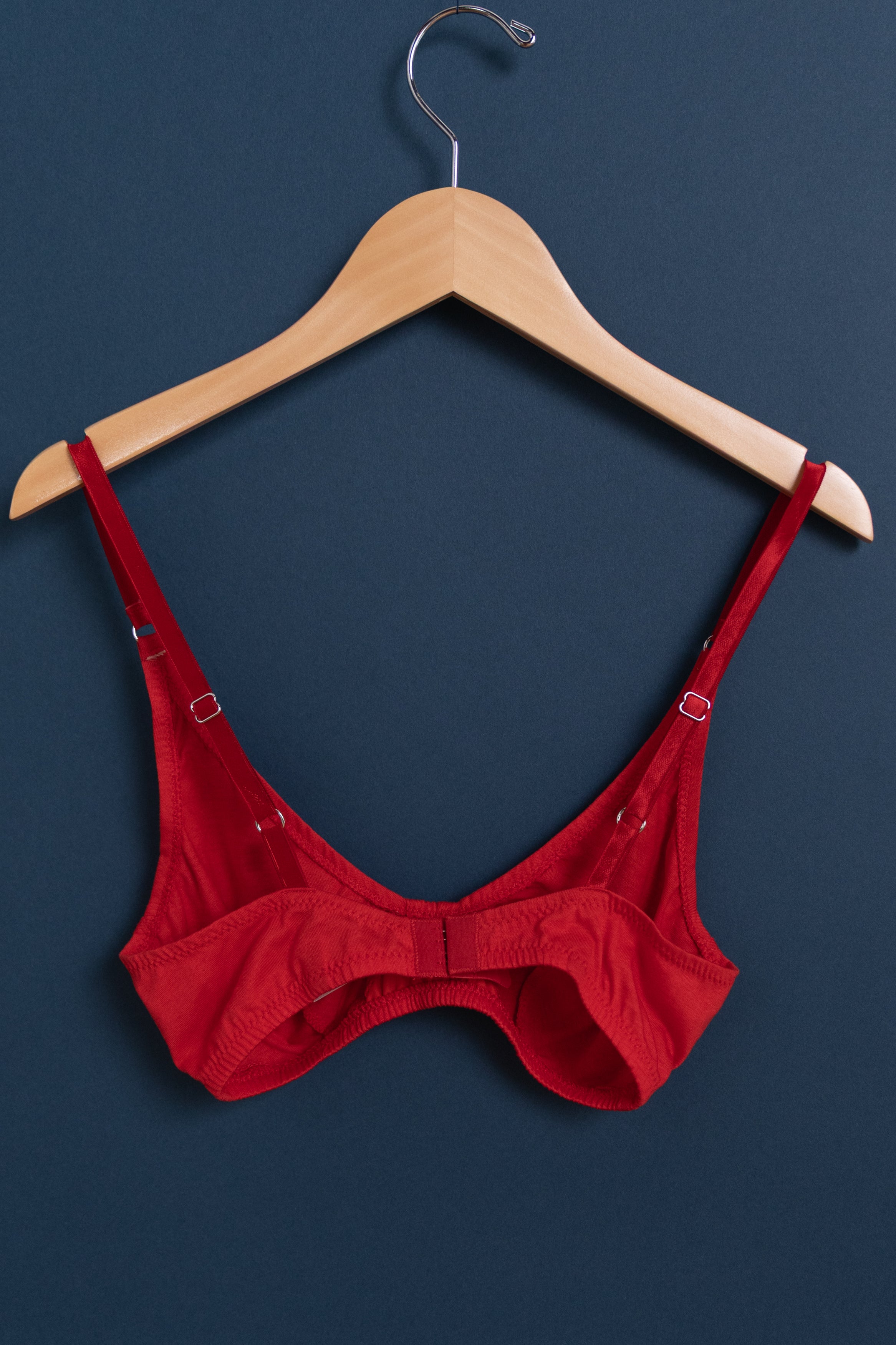BRIAR BRALETTE IN SCARLET