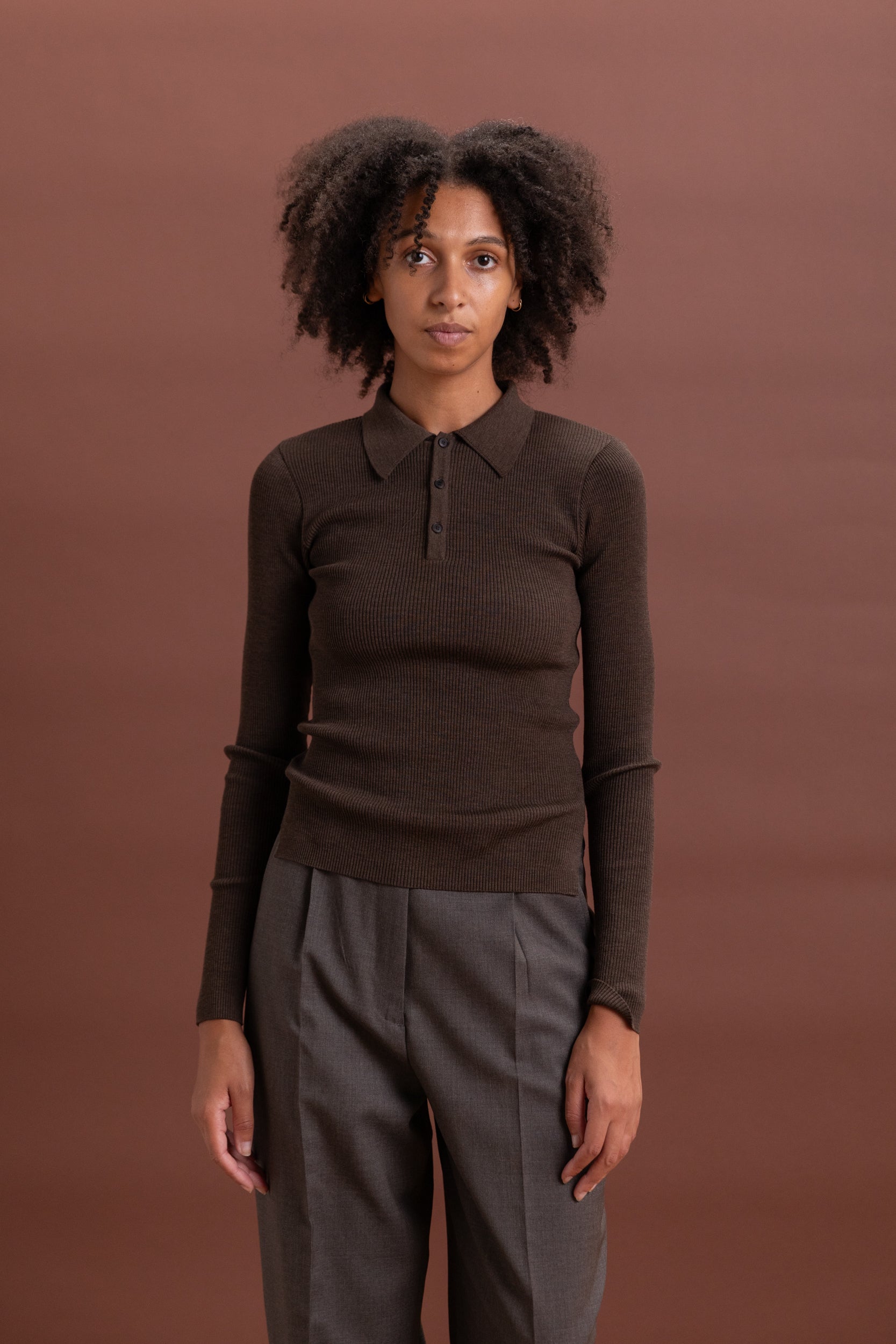 SUPER FINE WOOL HIGH GAUGE RIB KNIT POLO IN TOP BROWN