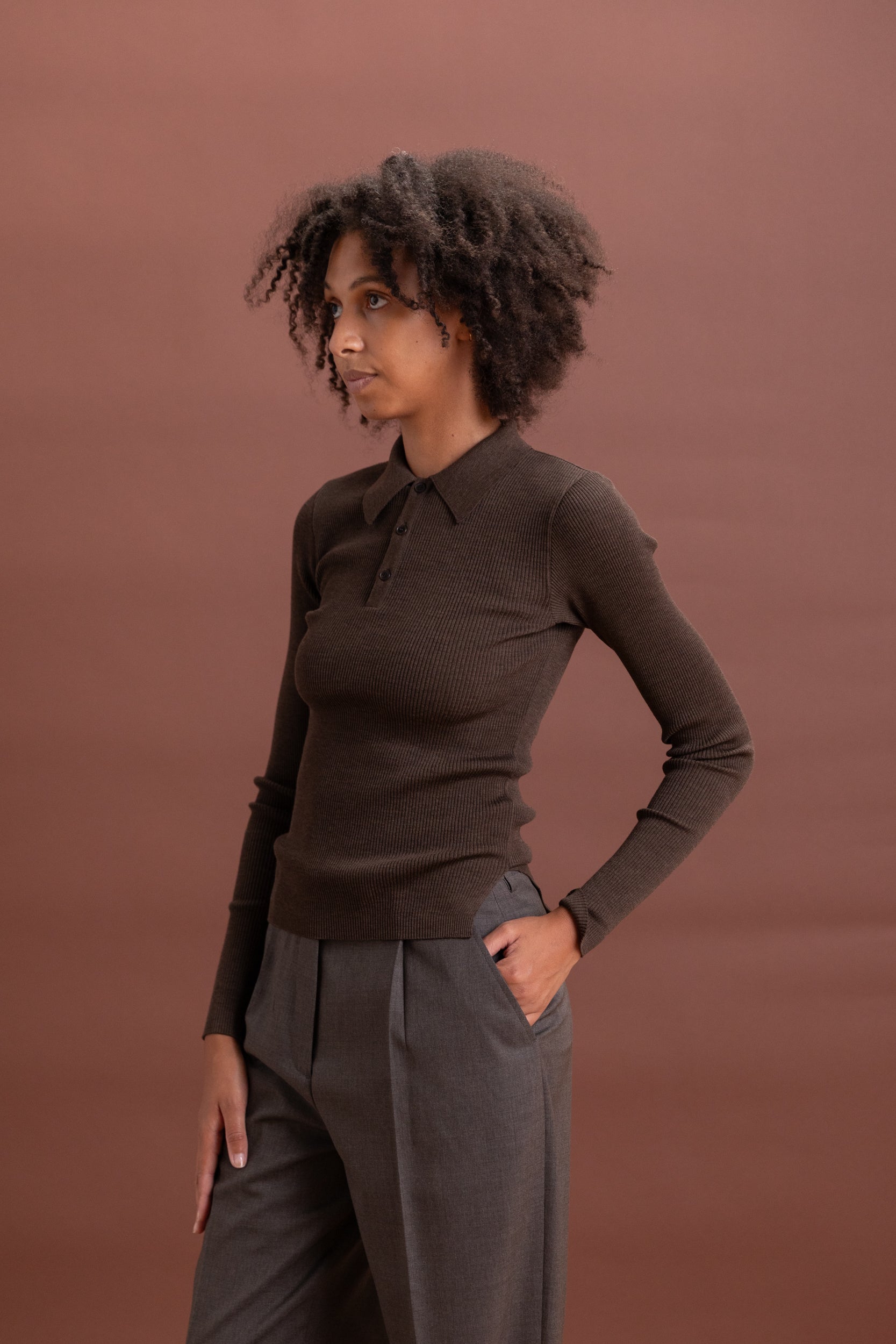SUPER FINE WOOL HIGH GAUGE RIB KNIT POLO IN TOP BROWN
