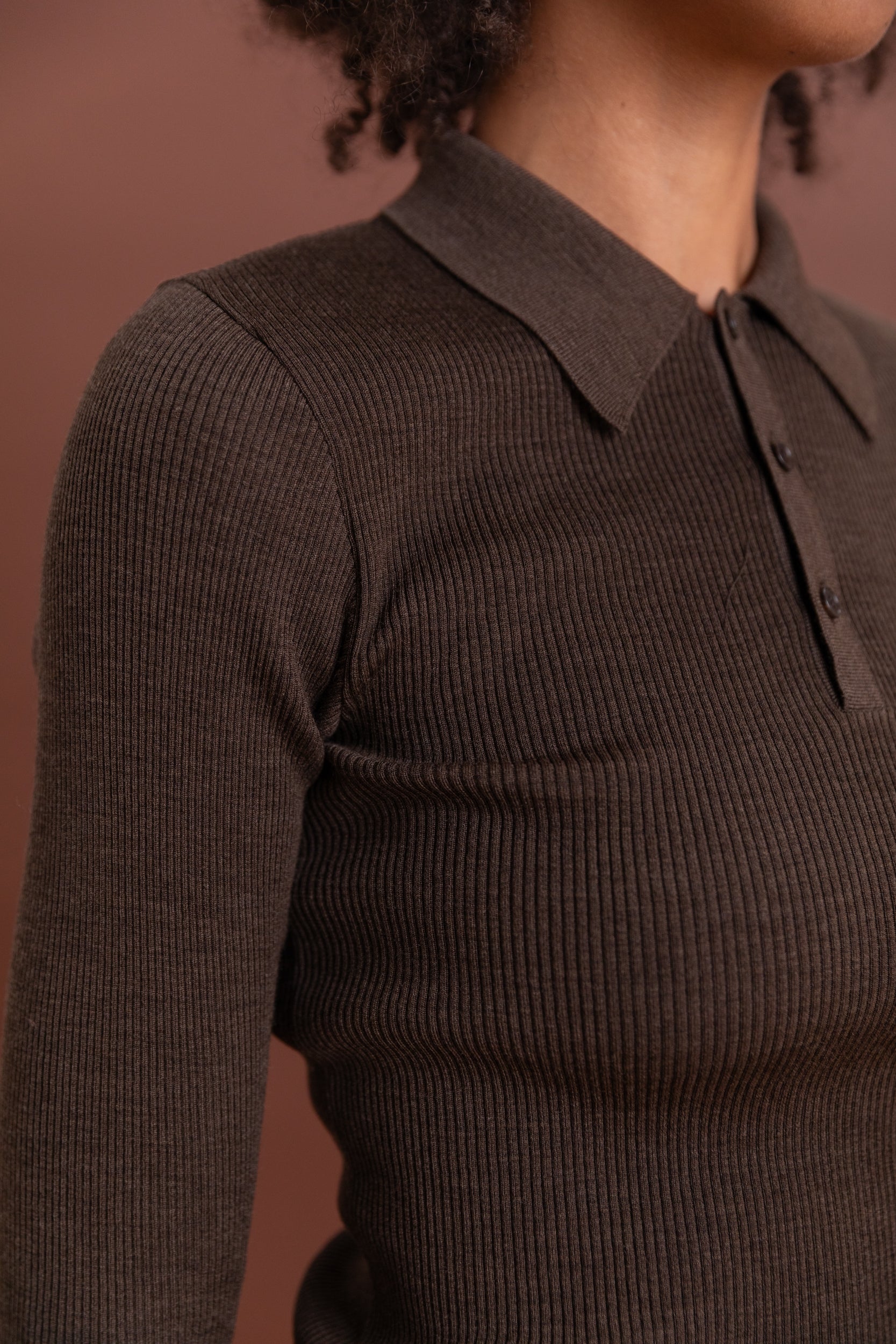 SUPER FINE WOOL HIGH GAUGE RIB KNIT POLO IN TOP BROWN