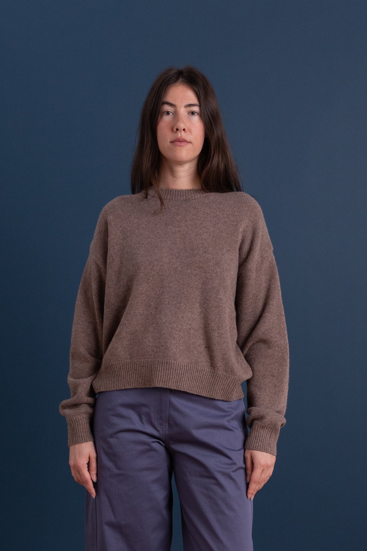 OVERSIZED CREWNECK SWEATER IN DARK BEIGE