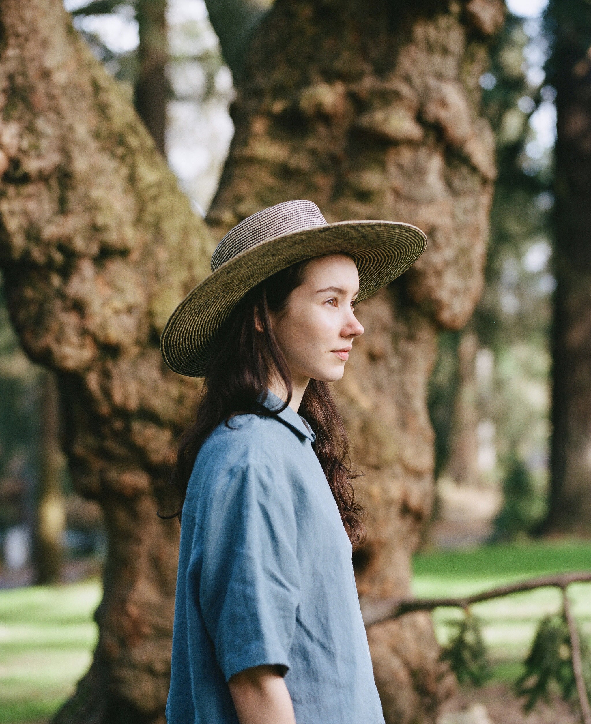 MADRONE IN BICOLOR PANAMA STRAW
