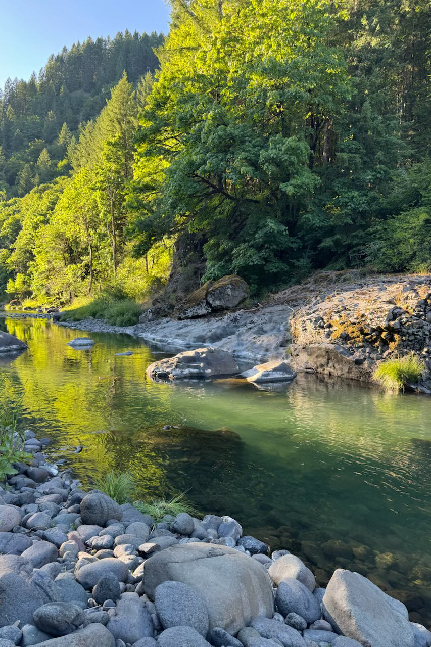 WINE COUNTRY & OREGON COAST CITY GUIDE BY ARTIST KRISTINA FOLEY