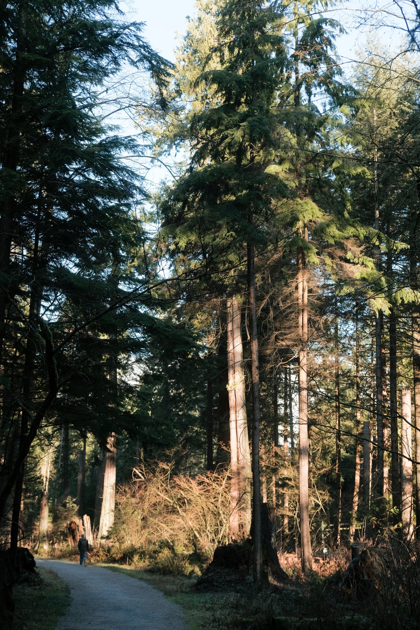 CITY GUIDE: VANCOUVER, BC