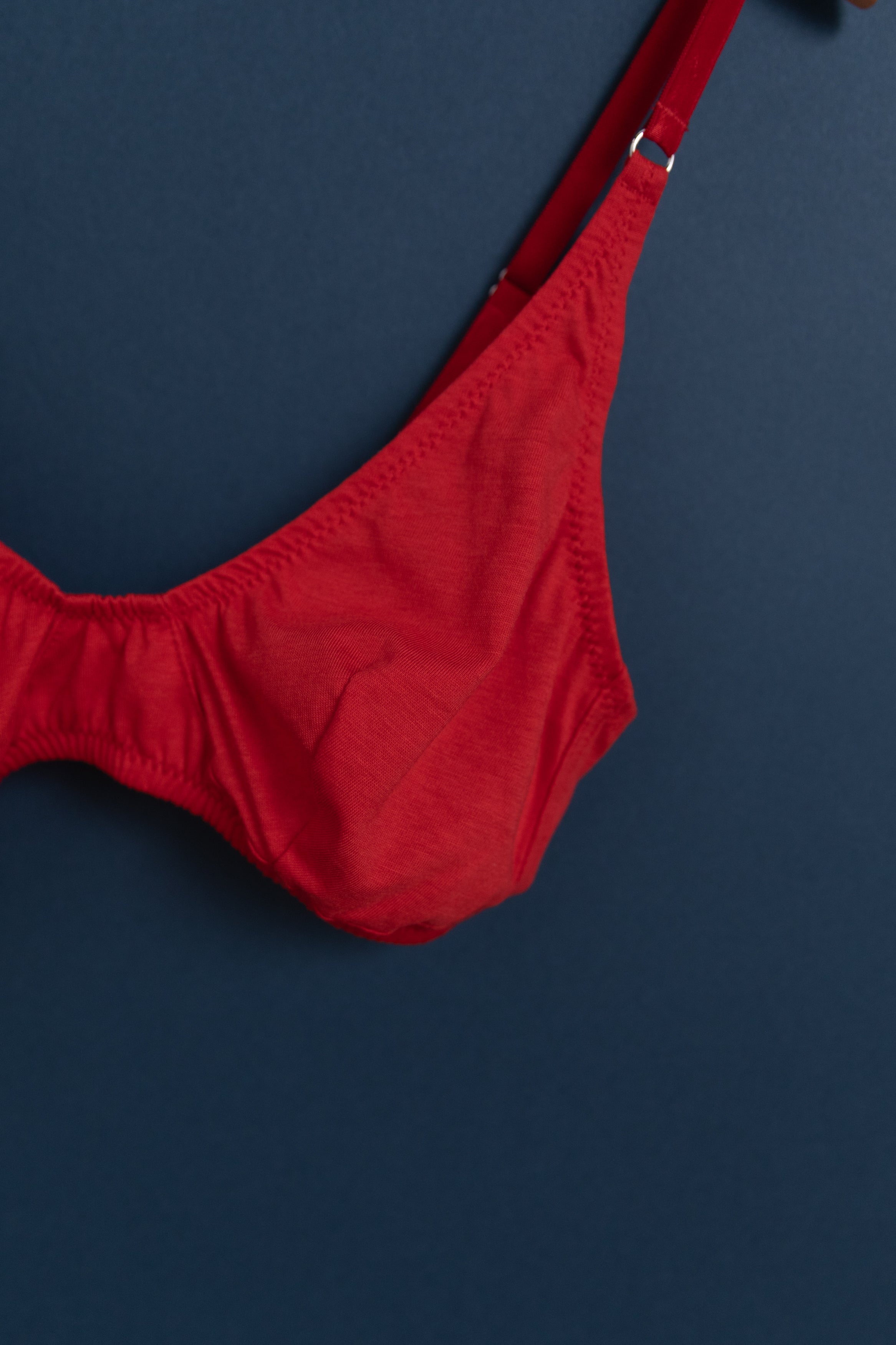 BRIAR BRALETTE IN SCARLET