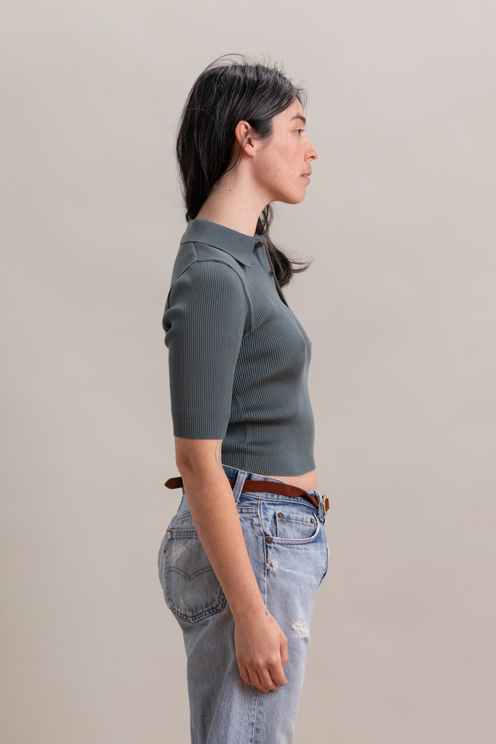 COTTON HIGH GAUGE RIB KNIT POLO IN SAGE GRAY