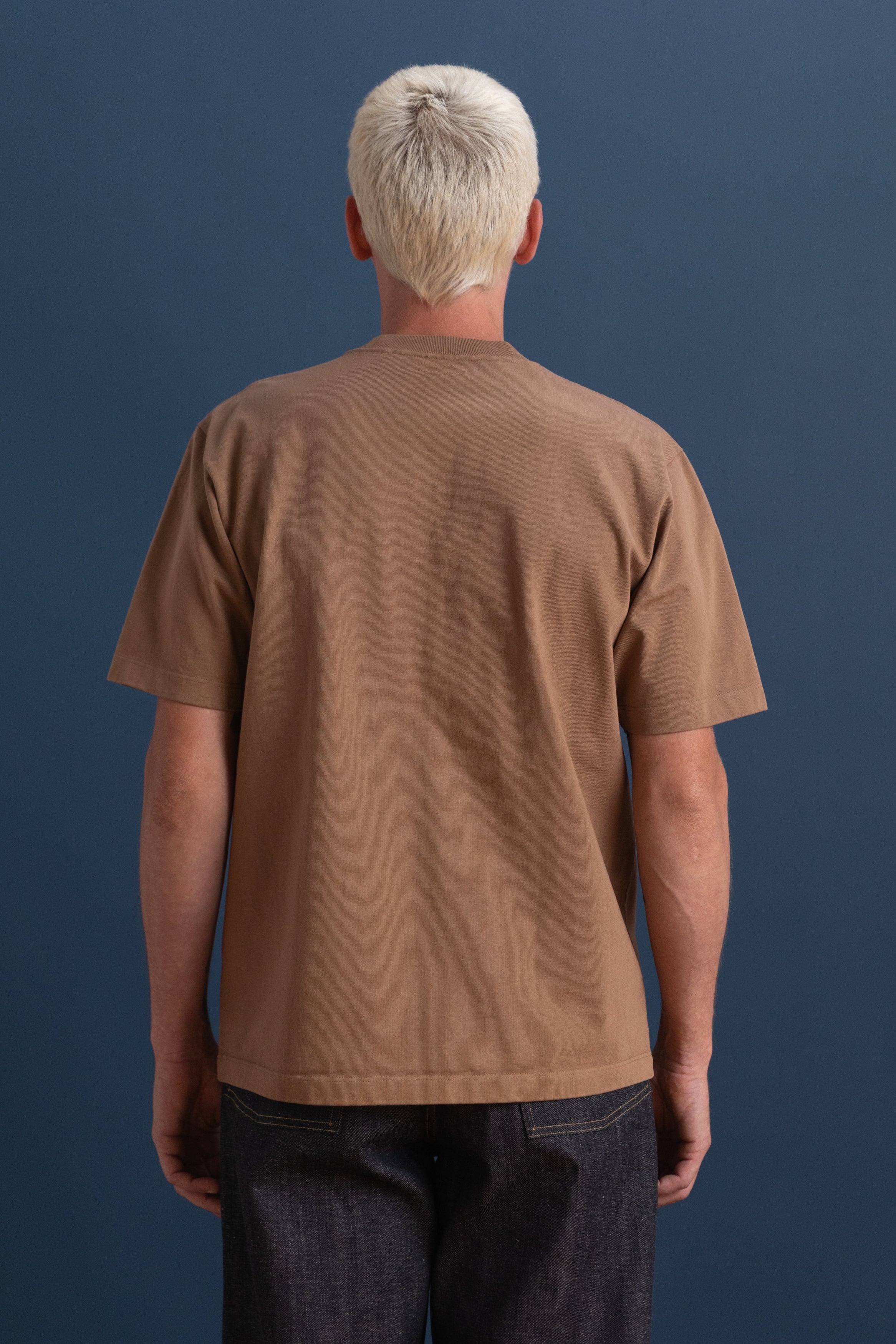 SHORT SLEEVE RUGBY TEE IN CASHEW