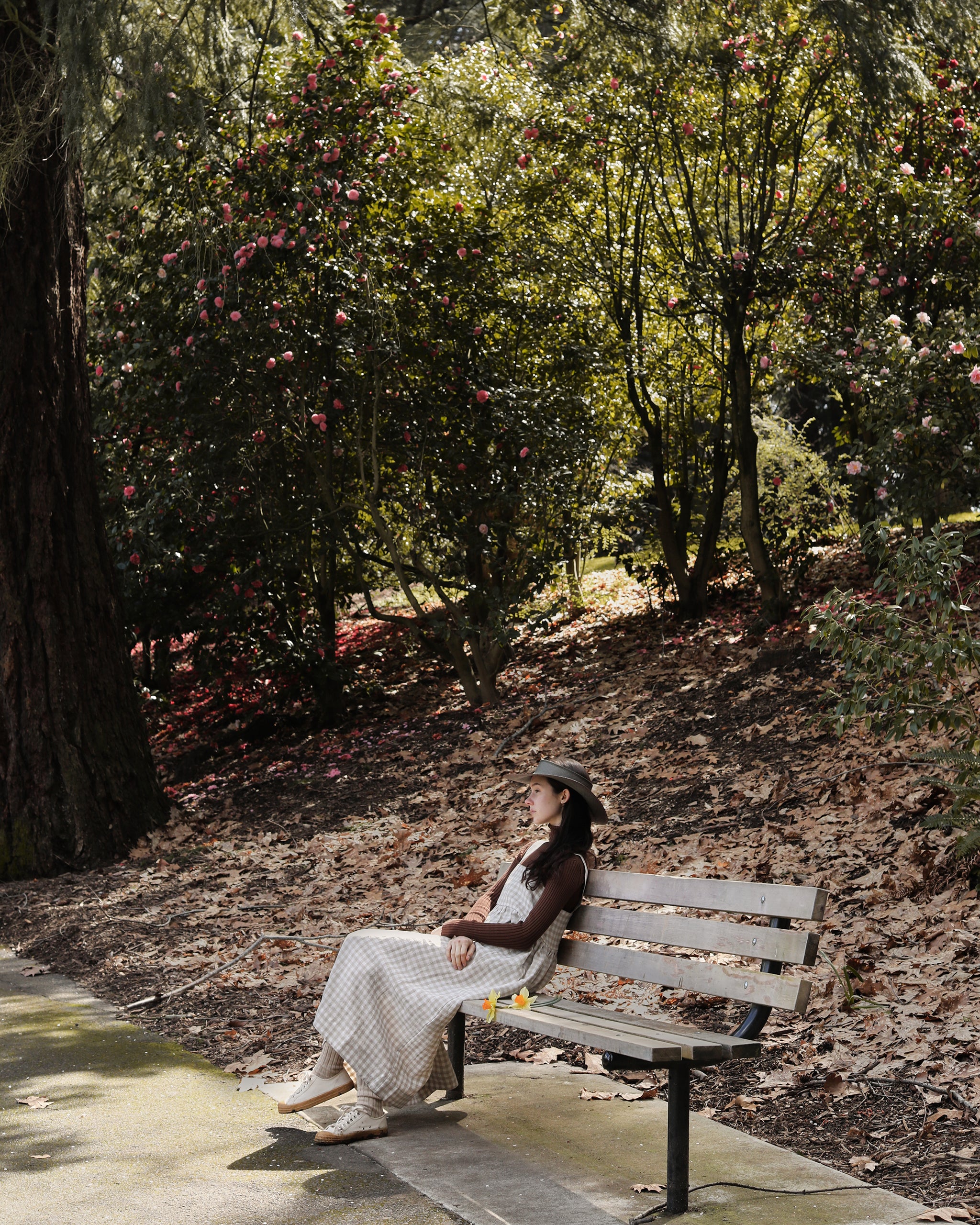 MONARCH IN PANAMA STRAW