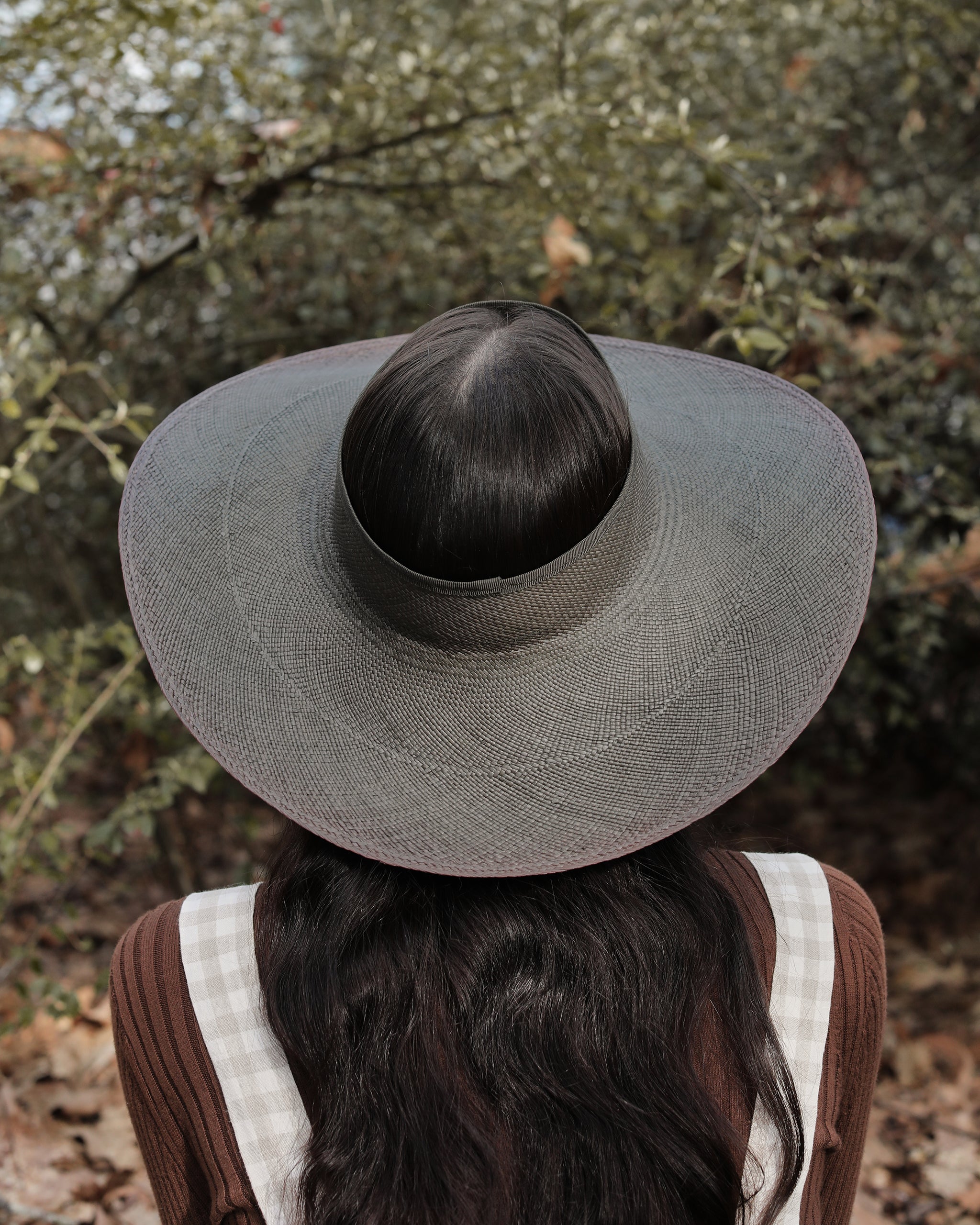 MONARCH IN PANAMA STRAW